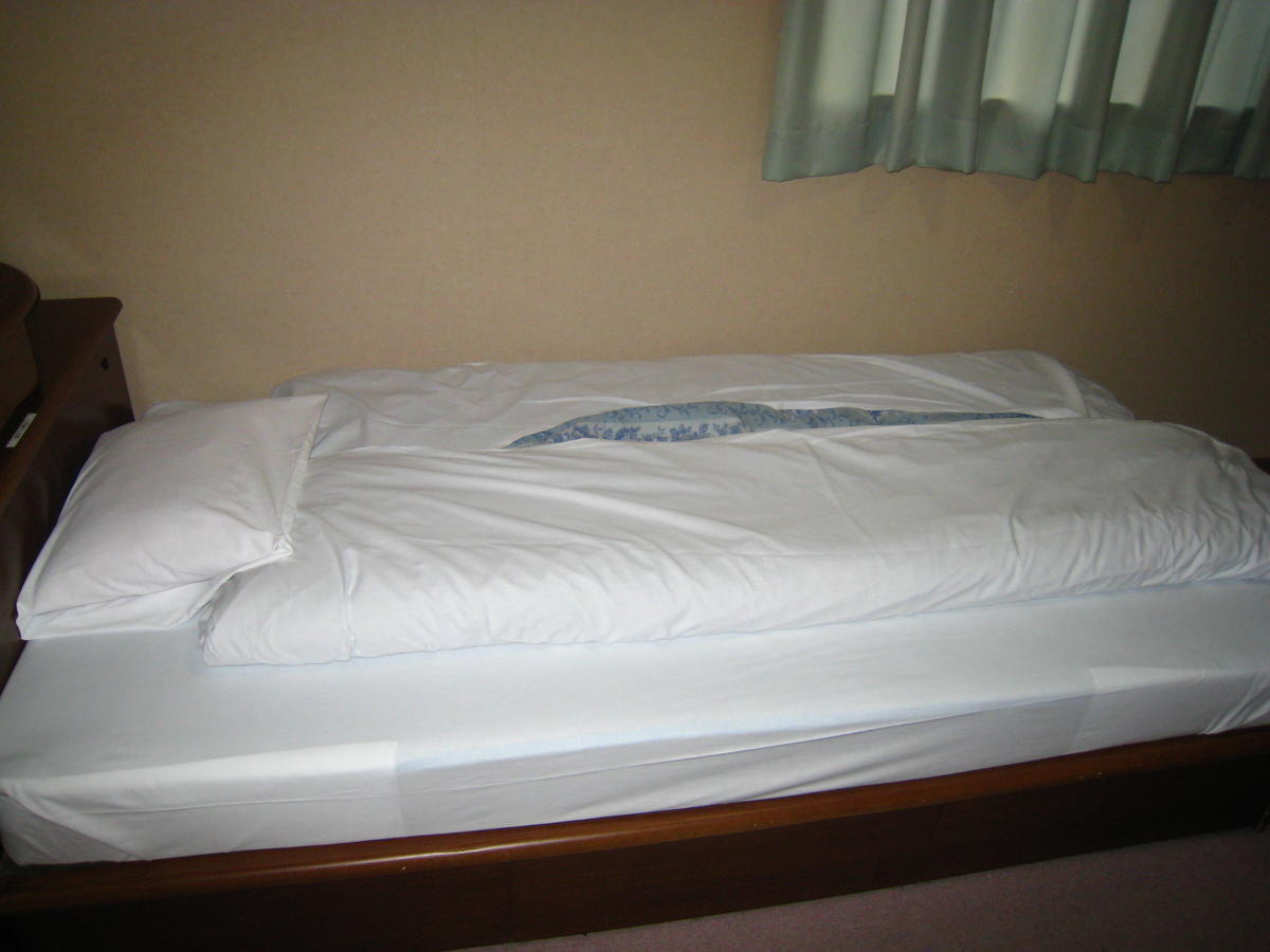 Business Hotel Ojiro Shizuoka Habitación foto